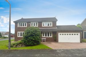 Front- click for photo gallery